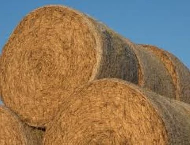 Παραγωγή ηλεκτρικής ενέργειας από άχυρο στον κάμπο της Θεσσαλίας (φωτό)